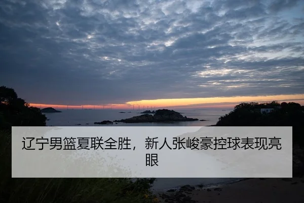 liao-ning-nan-lan-xia-lian-quan-sheng-xin-ren-zhang-jun-hao-kong-qiu-biao-xian-liang-yan-2-842.jpg