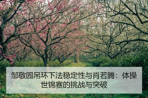 zou-jing-yuan-diao-huan-xia-fa-wen-ding-xing-yu-xiao-ruo-teng-ti-cao-shi-jin-sai-de-tiao-zhan-yu-tu-po-2-802.jpg