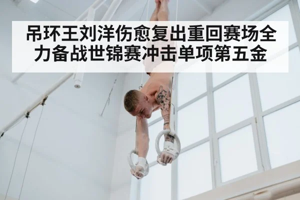 吊环王刘洋伤愈复出重回赛场全力备战世锦赛冲击单项第五金